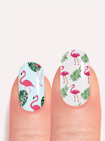 Flamant Rose